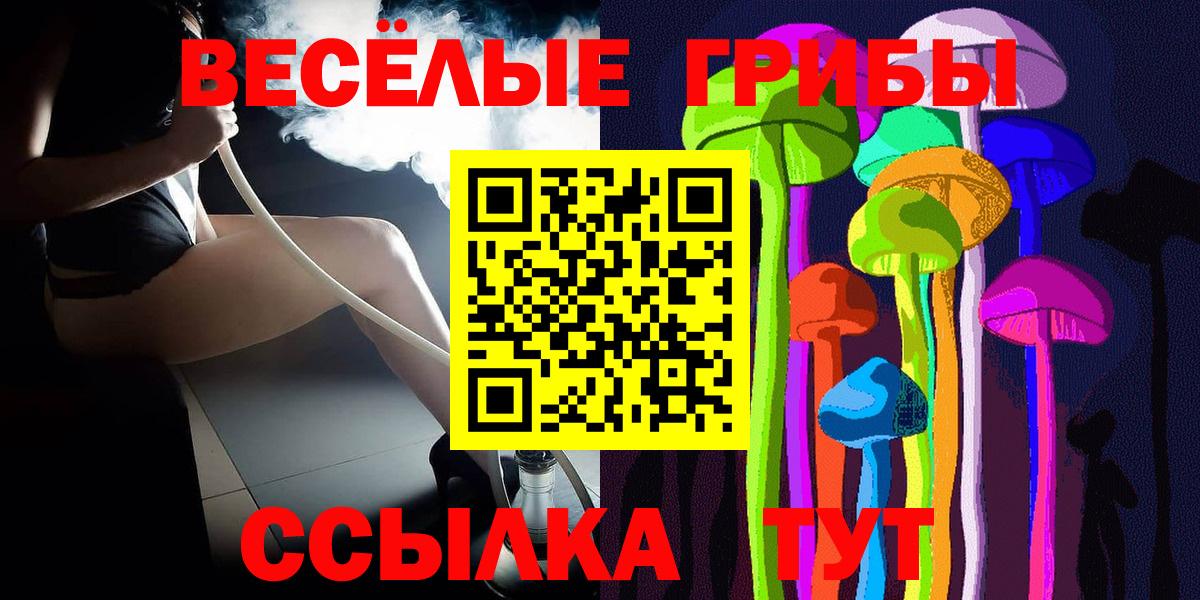 Псилоцибиновые грибы Psilocybine cubensis Ртищево