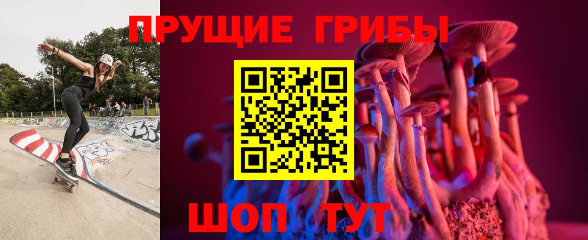 Ртищево  купить   Галлюциногенные грибы GOLDEN TEACHER  Вход с VPN  Галлюциногенные грибы GOLDEN TEACHER 